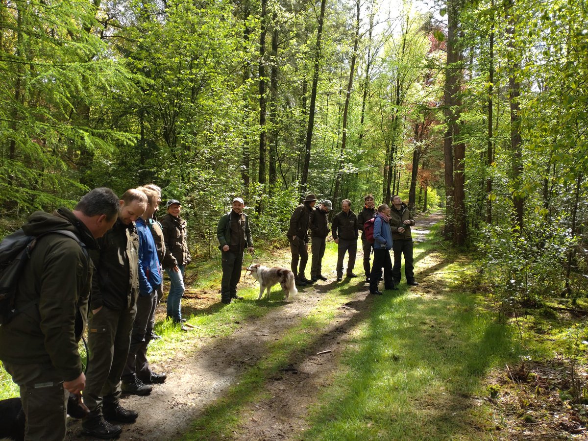 Na een succesvolle interne generale repetitie van onze 3-daagse praktijkcursus Uitkapbeheer zullen we deze dit najaar voor het eerst extern aanbieden. Data en details volgen binnenkort!
Mocht je al interesse hebben laat het ons vooral weten.