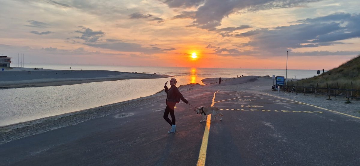 ImkeSingingintherain tweet media