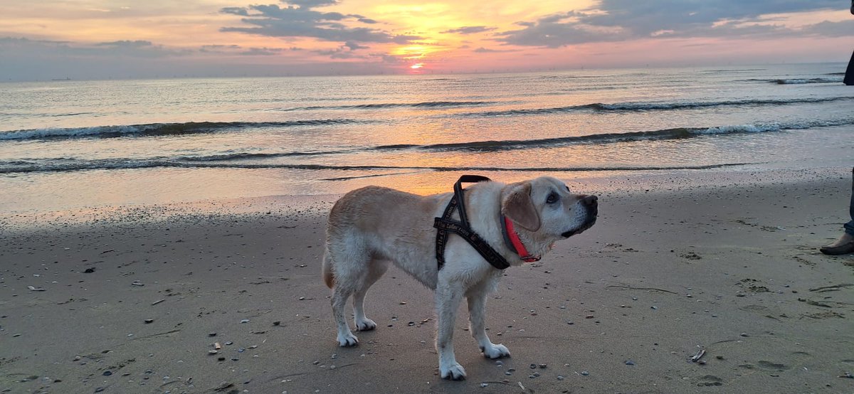 ImkeSingingintherain tweet media