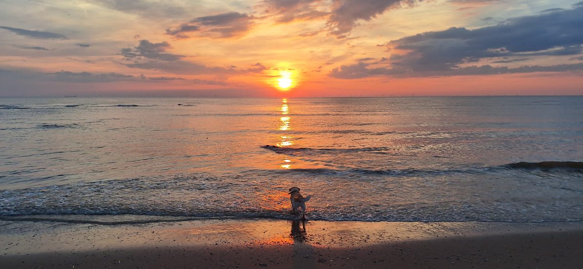 ImkeSingingintherain tweet media