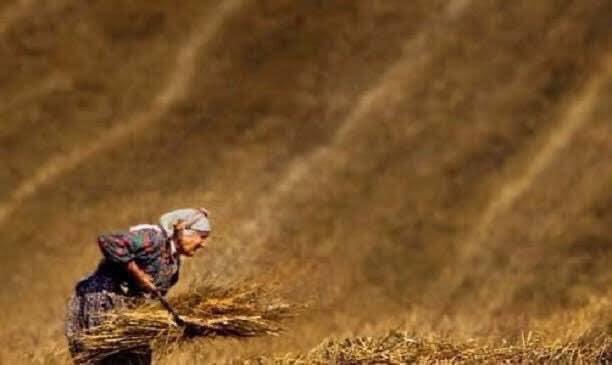 Tarlasında, bahçesinde, gece gündüz demeden çalışarak ailesine, evine ve ülkemize üretimle destek veren başta Ekinözü çiftçilerimiz olmak üzere, Dünya Çiftçiler Günü’nü tebrik ediyorum.