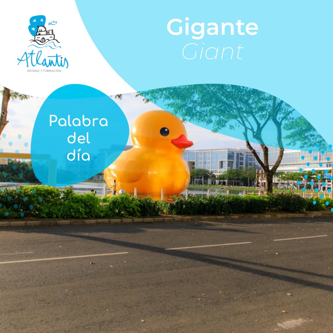 La palabra del día!
🔹Gigante // Giant
👩‍🏫Sí quieres aprender #inglés Atlantis es tu mejor opción!
⁣#idiomas #ingles #formacion #aprenderingles #aprendeidiomas #inglesbasico #englishteacher #aulasdeingles #vocabular