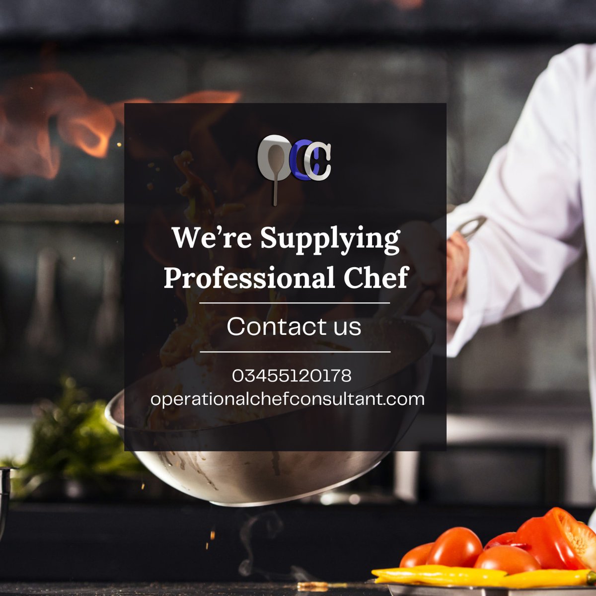 Experience culinary excellence with our team of professional chefs, delivering unparalleled taste and innovation.
*
Contact Us:
☎ 03455120178
🌐operationalchefconsultant.com
*
#ChefSuppliers #GourmetCuisine #CulinaryExperts #ChefLife #TasteMasters