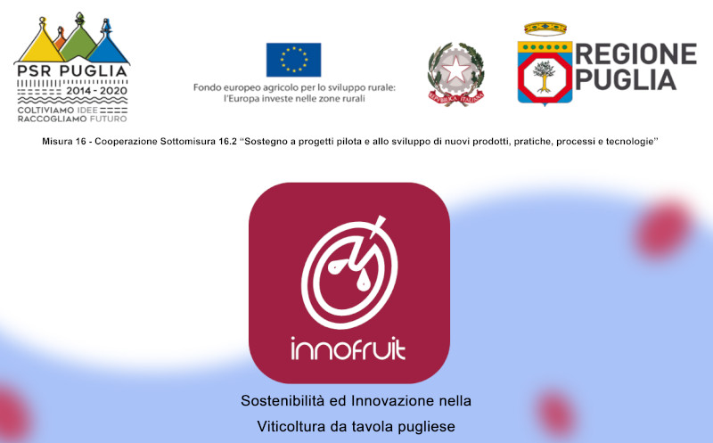 Convegno di chiusura del progetto INNOFRUIT 📆16 maggio👇 crea.gov.it/web/viticoltur…