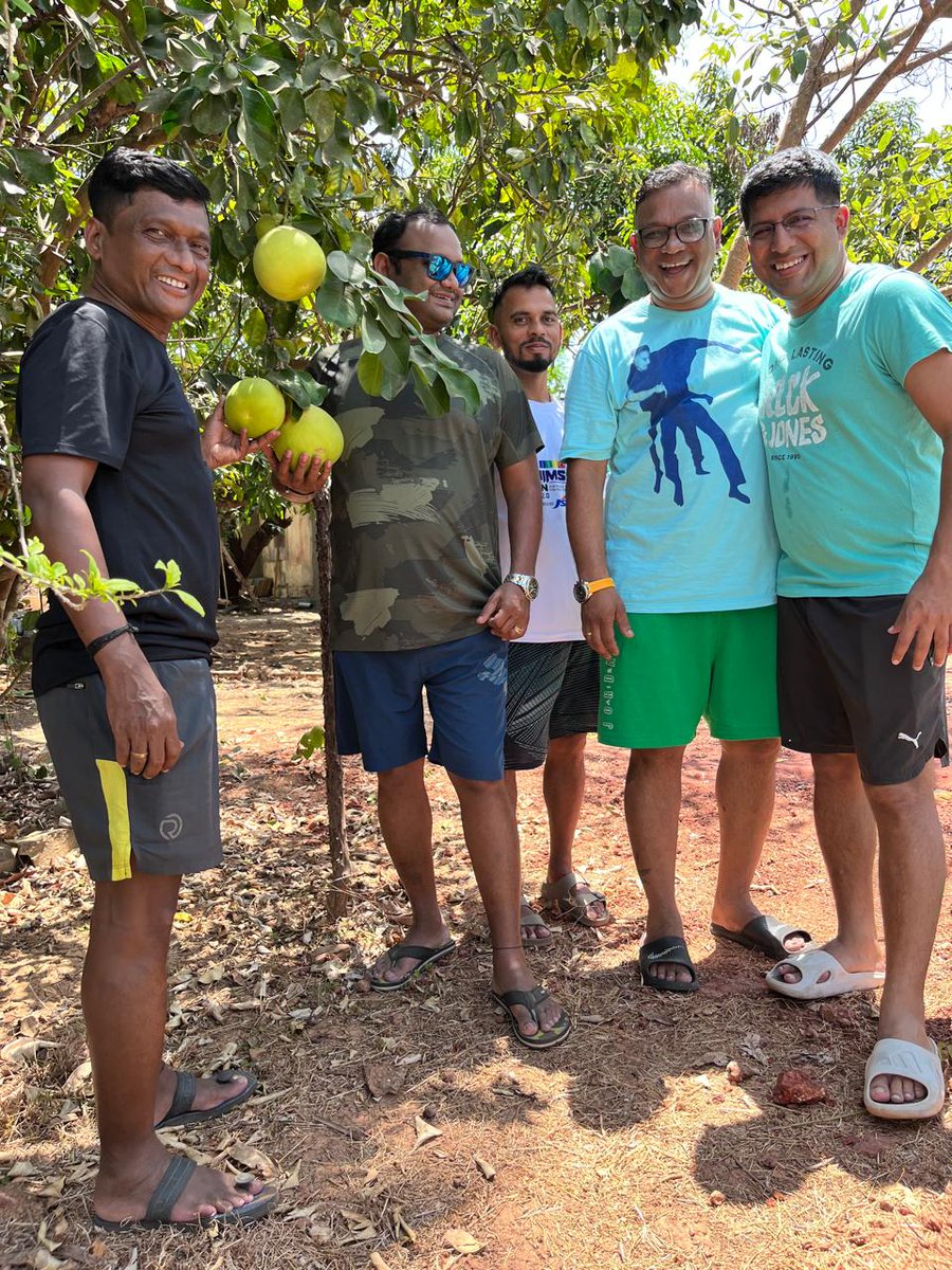 SnehaFarm's tweet image. "Indulging in Nature's Sweetest Bounty: A Mango Farm Retreat 🌿🥭 #farmfresh #mangomagic #mangofarm