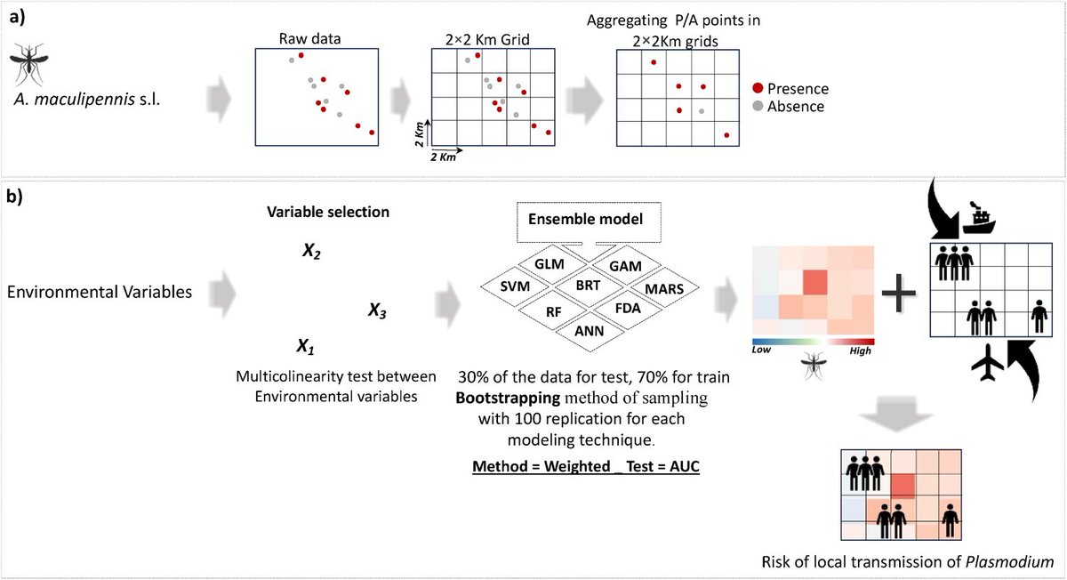 El estudio utiliza técnicas de #modelización avanzadas para identificar zonas de riesgo en España donde la presencia del #vector y los casos importados se superponen 👇