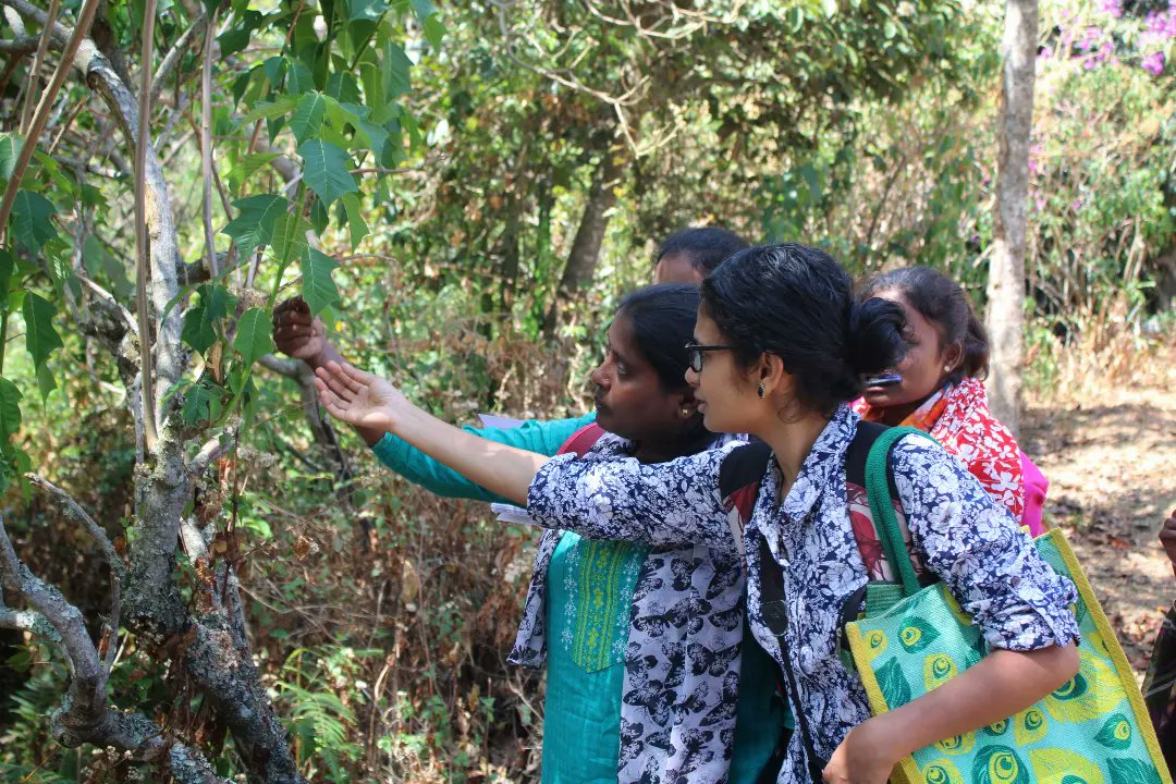 Adivasi Youth from three states in India received training on Analog Forestry to understand the immense potential that their forests hold through designing their own restoration strategies.