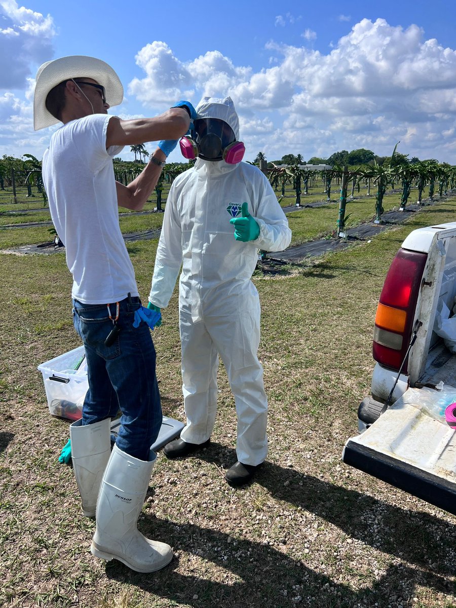 Safety first! Our @IR4_Project field research director making sure #dragonfruit #pitaya #fungicide trial is done properly 🥽 @FSHS_Hort @APS_Extension @FDACS @USDA @FAO @FlaFarmBureau @DadeCountyAg @SouthDadeAg @UFTropical @UFPlantPath @CaSendoyaC_