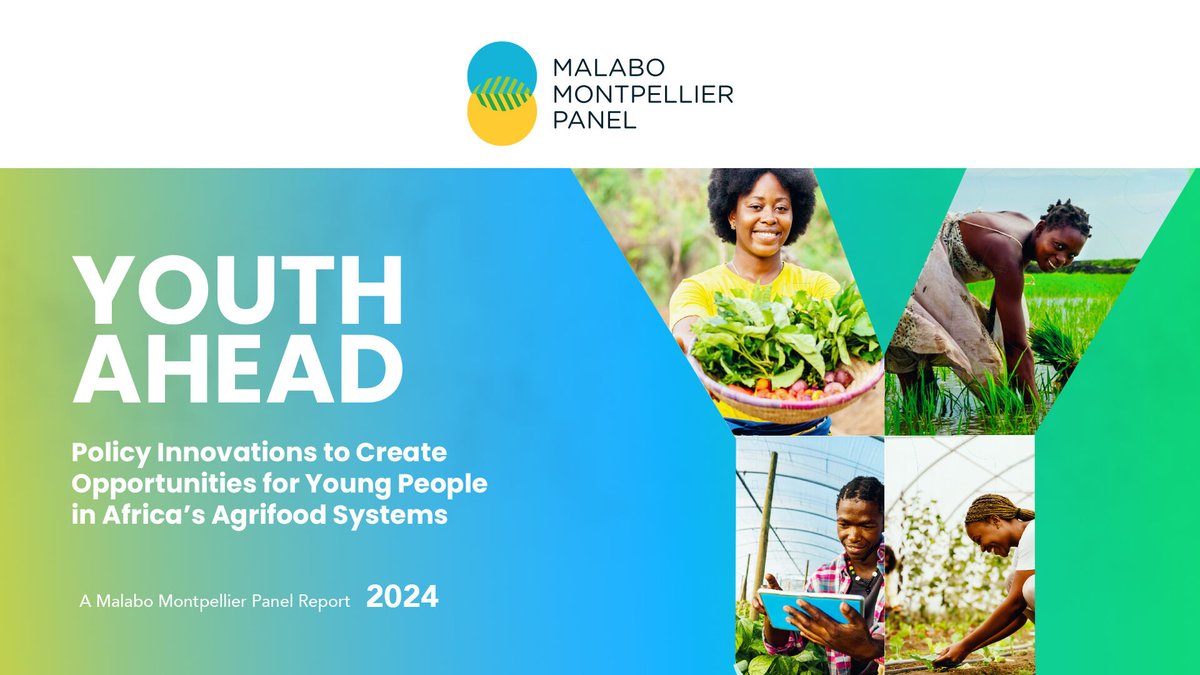 The active involvement of young people in Africa’s agrifood systems is essential for the continent’s socio-economic development and prosperity, including improved food security, @MaMoPanel YOUTH AHEAD report finds!

Learn More: shorturl.at/fmvCO