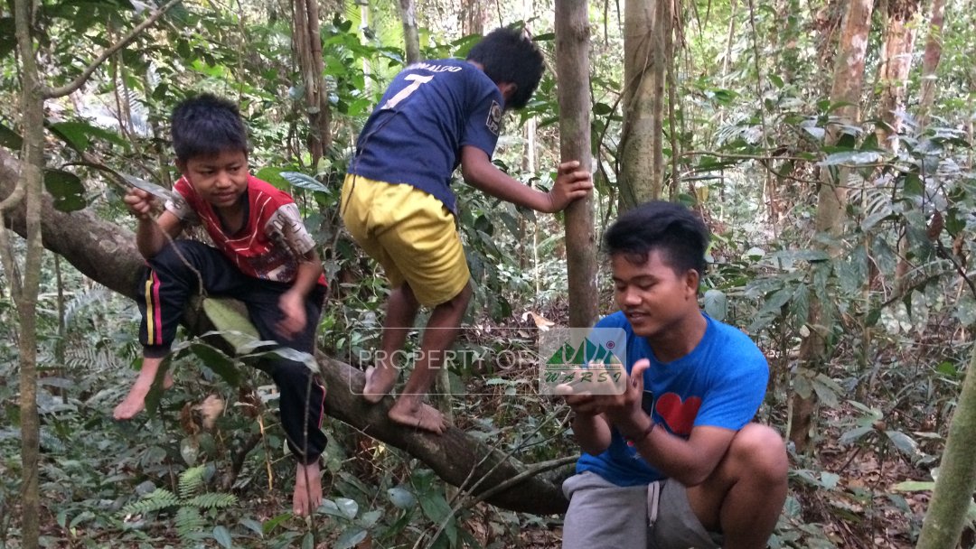 Belajar calistung sambil manjat pohon?

Tumbuh besar di hutan, tentu tempat yang paling menyenangkan bagi anak-anak Rimba adalah hutan!

Guru bagi anak-anak Rimba pun punya metode tersendiri agar mereka antusias belajar.

Kupas sedikit kisah-kisah pengajar di Rimba yuk!