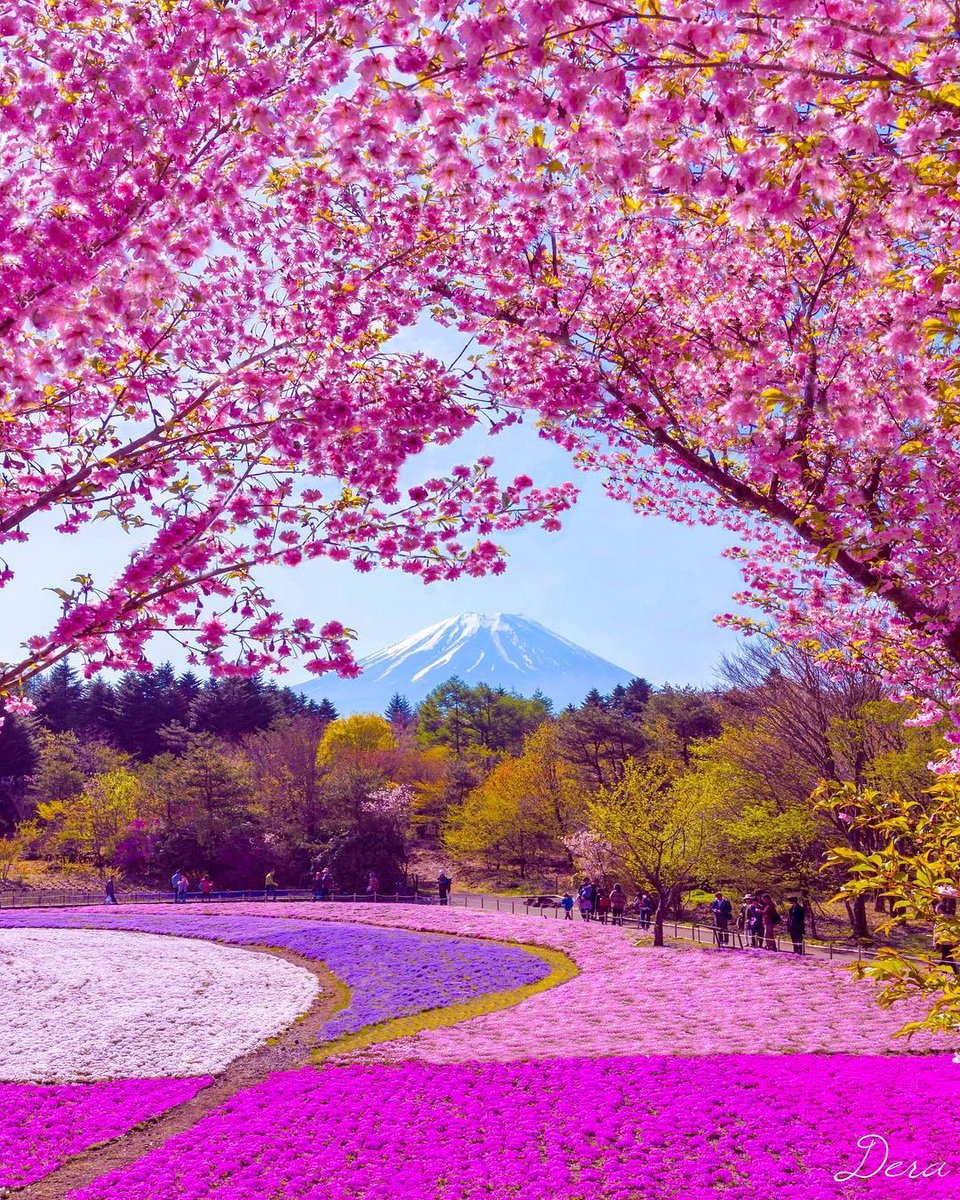 Mount Fuji, Japan 🇯🇵🌸