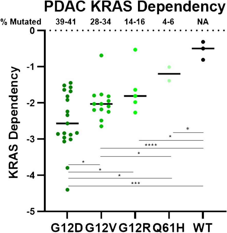 New review from our group @cincysurgery @UCincyMedicine comparing and contrasting mutant-selective-, pan-KRAS, and RAS(MULTI)ON-selective RAS inhibitors in pancreatic cancer with standards of care: @SzuAunLongMD @SyedAAhmad5 @ambermamparo @grace_goodhart frontiersin.org/journals/oncol…