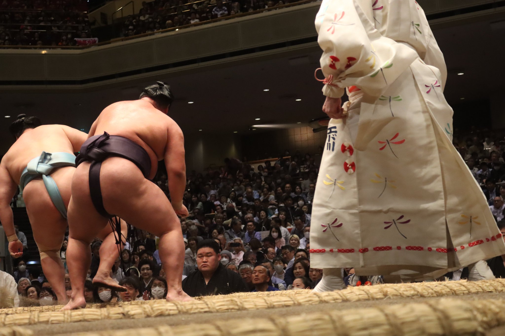 日本相撲協会公式 on X: 