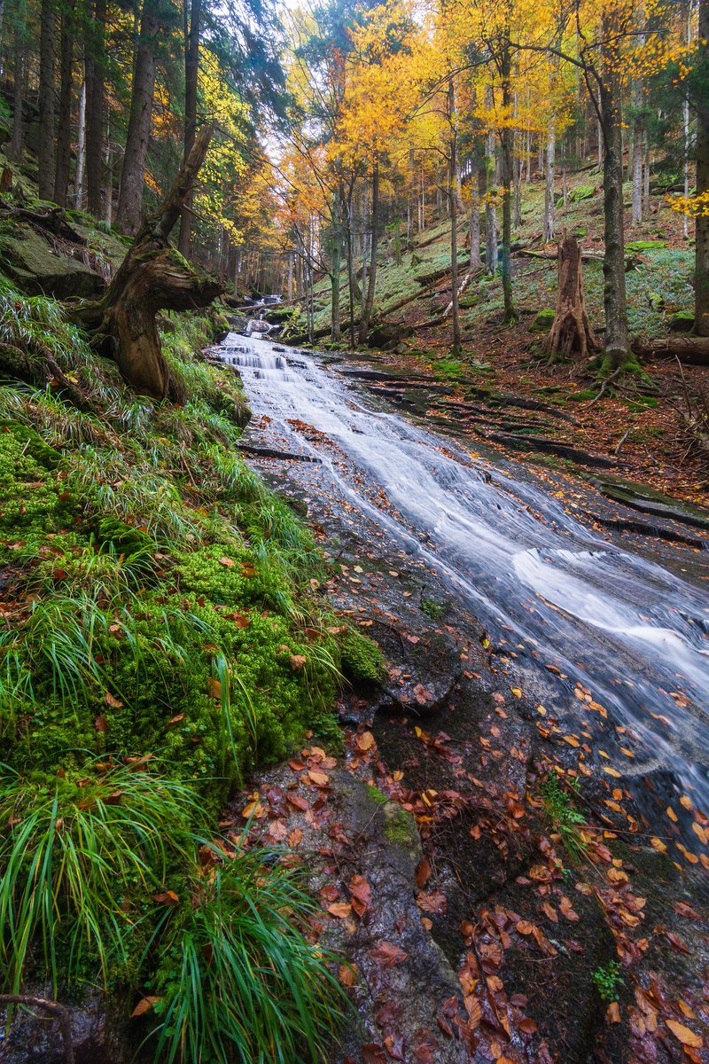 'Beautiful Verna Creek in Slovenia!'