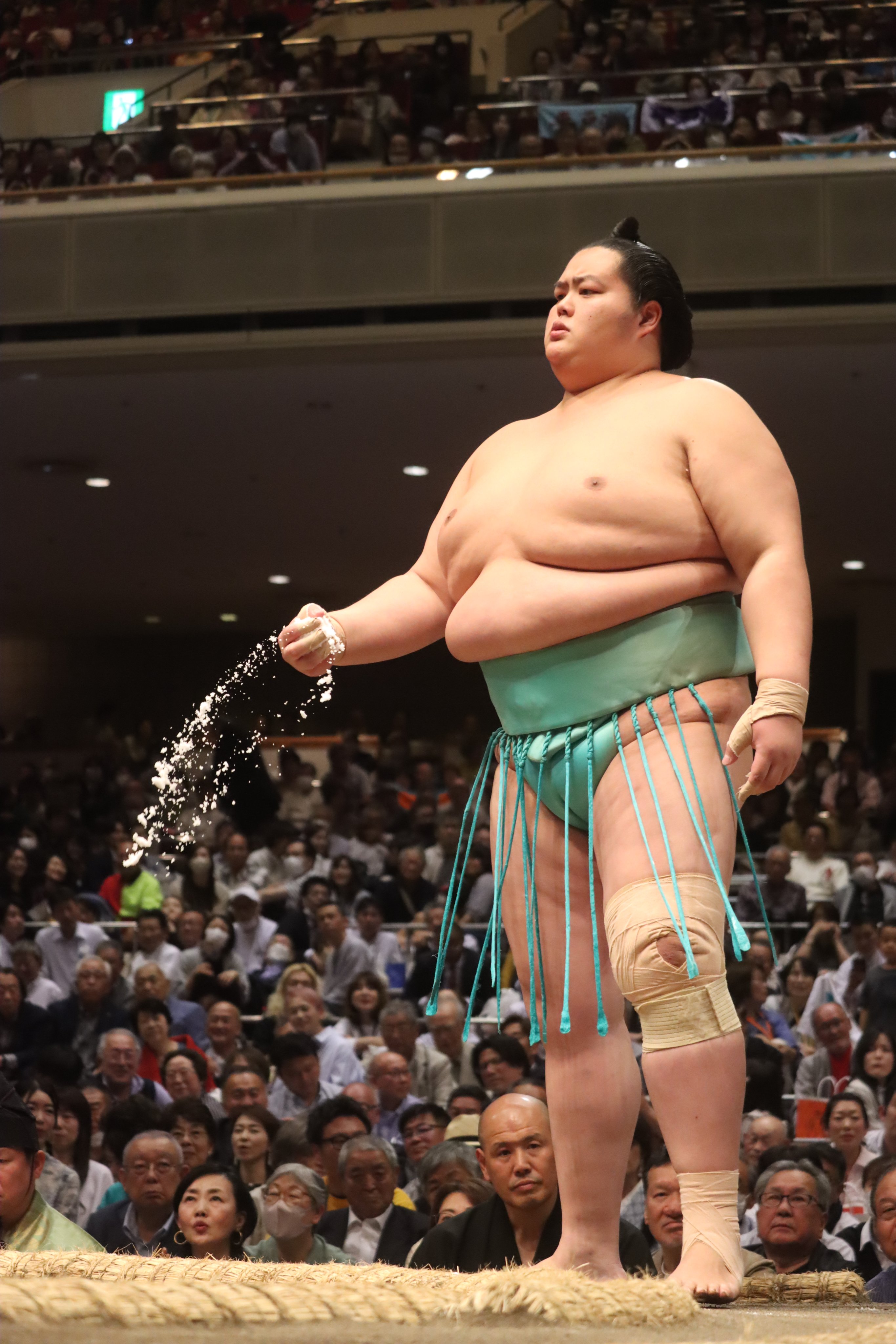 日本相撲協会公式 on X: 