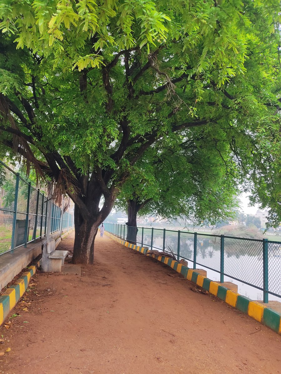 mumsandstories's tweet photo. Climate is affecting us big time. Bangalore that had witnessed never seen earlier heat is getting back its lakes. Many of them had dried up and now you can see it with water thanks to rains. https://t.co/ZveP8rq80E