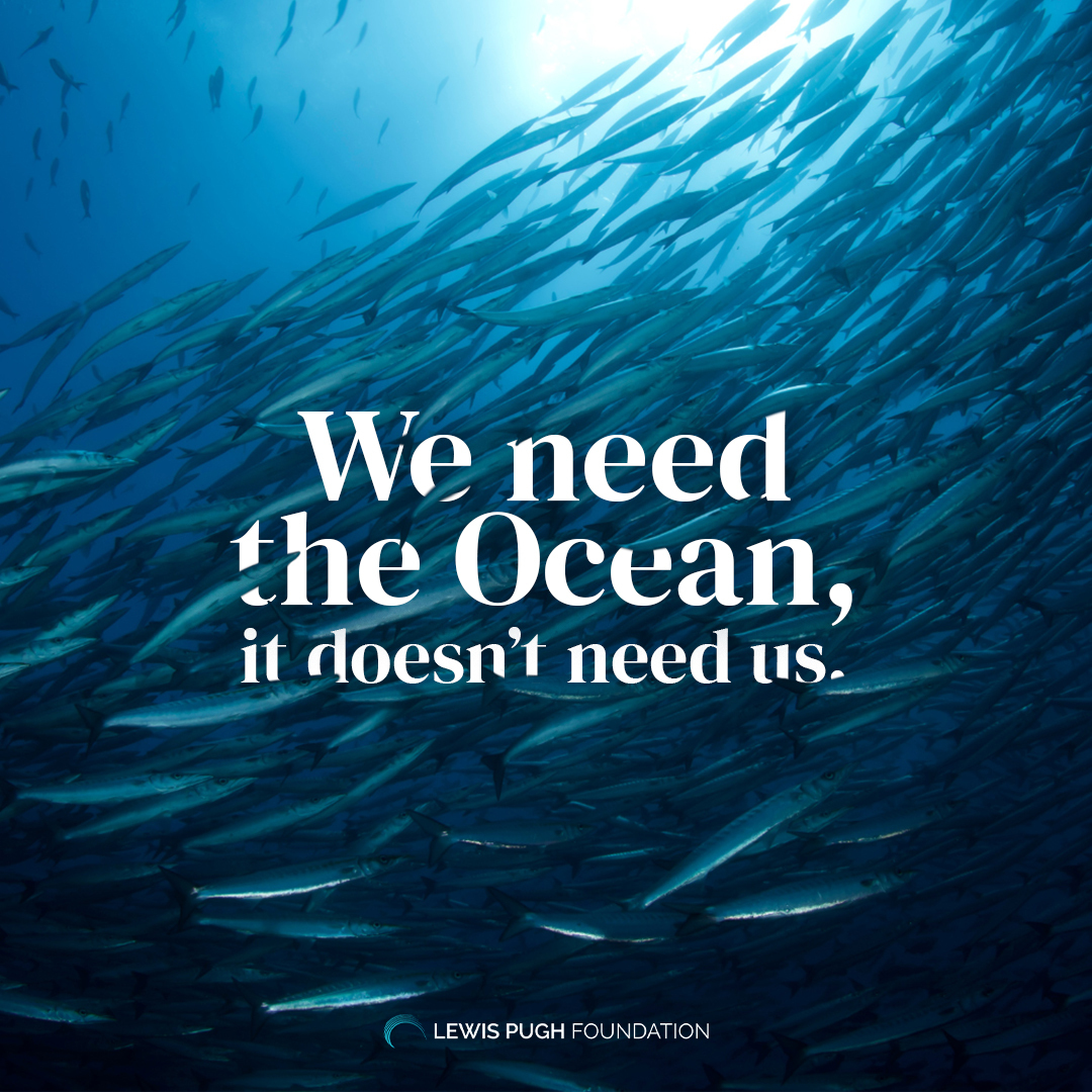 The ocean isn't just a resource, it's our lifeline. Taking it for granted is the worst mistake we could make.