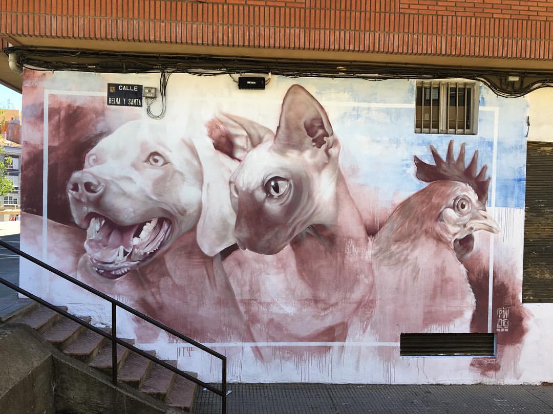 #Streetart by #Pinche @ #León, Spain More info at: barbarapicci.com/2024/05/11/str… #streetartLeón #streetartSpain #Spainstreetart #pincheycolorea #arteurbana #urbanart #murals #muralism #contemporaryart #artecontemporanea