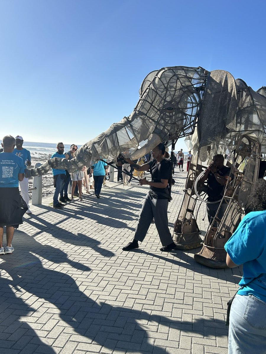 A memorable walk from Seapoint @CityofCT with the @GBHI_Fellows and Atlantic fellows on before conference kick-off. Some special puppeteers from @UWConline showed up. Thanks for a fascinating exchange.