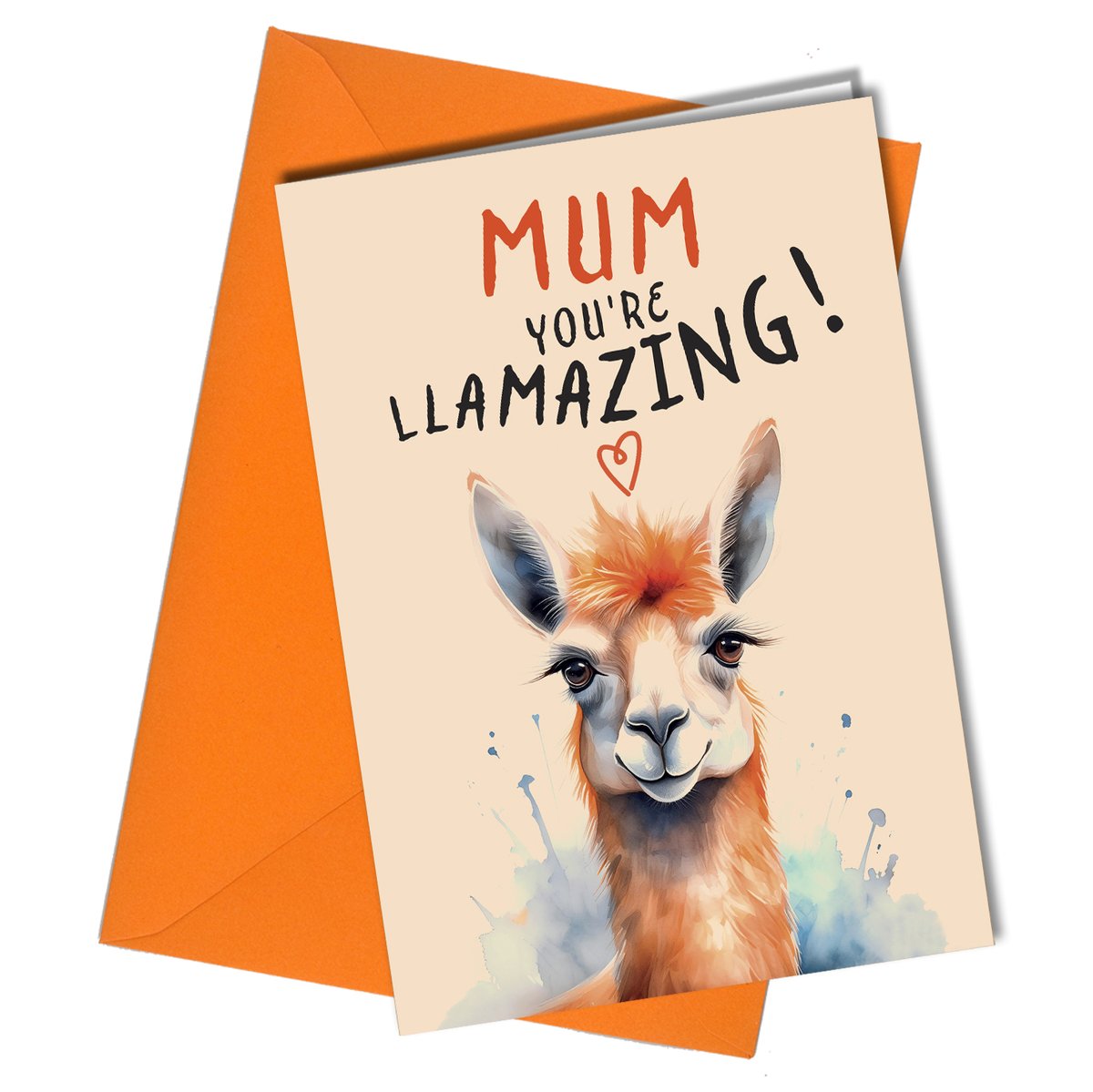 CloseBone's tweet image. cttb.co.uk/products/365-l…