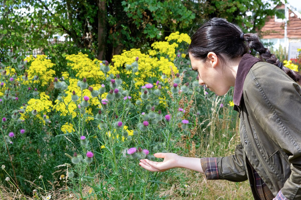 Looking for hints and tips to create wildflower areas in your garden? 🌱 Don’t miss our FREE event for all the family in #Harrogate #Yorkshire 👉 bit.ly/4afyu8V