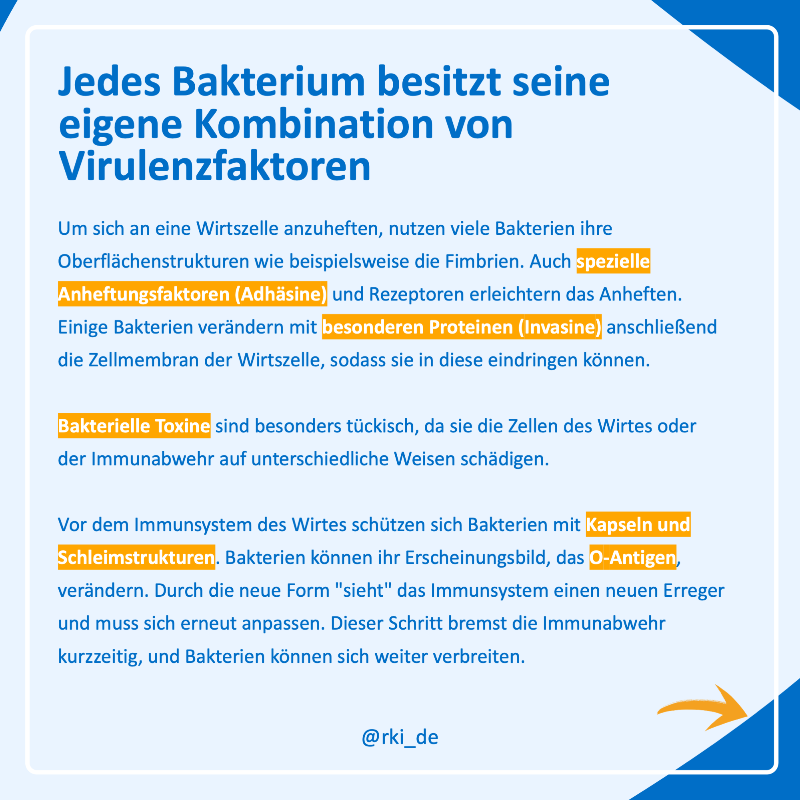 rki_de's tweet photo. Wie können uns #Bakterien krank machen? Was für Strategien nutzen sie dabei? Und welche Faktoren kommen zusammen?

Einige Antworten zu pathogenen Bakterien gibt es in dieser #WasIstEigentlich-Folge. ⬇️
