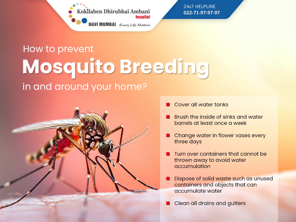 The best way to fight dengue is to take preventive measures. Here are a few ways to avoid the breeding of mosquitoes and in turn reduce the risk of getting Dengue. #NationalDengueDay #DenguePrevention #MosquitoControl #NationalDengueDay