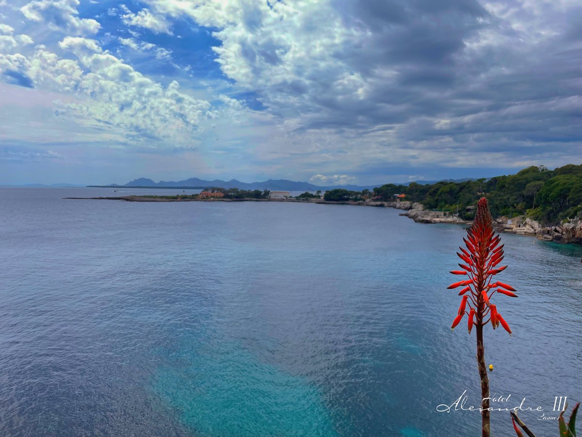 Contraste. 

#contraste #contrast #contrastes #cotedazurlife #cotedazurfrance #cannes #cannes2024 #festivaldecannes #cannesfilmfestival #onatousbesoindusud #bienvenueacannes #rendezvousacannes