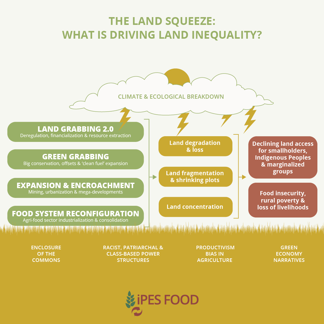 🌱The #LandSqueeze is putting food production at risk. As farmland prices double & demand for land escalates, small & medium-scale farmers & Indigenous peoples are losing their livelihoods.

Time to prioritize land access for sustainable food production!
ipes-food.org/report/land-sq…