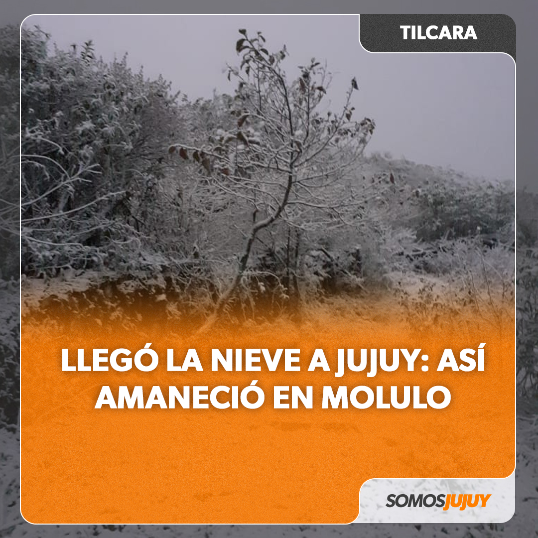 SomosJujuy's tweet photo. ❄️❄️El frío y la nieve llagaron a la provincia de Jujuy.
❄️En la mañana de este martes, la comunidad de Molulo ubicada en el departamento de Tilcara, amaneció cubierta por un manto blanco de nieve.
#Jujuy #Tilcara #nieve #Molulo https://t.co/Xuj1MuK3Ms