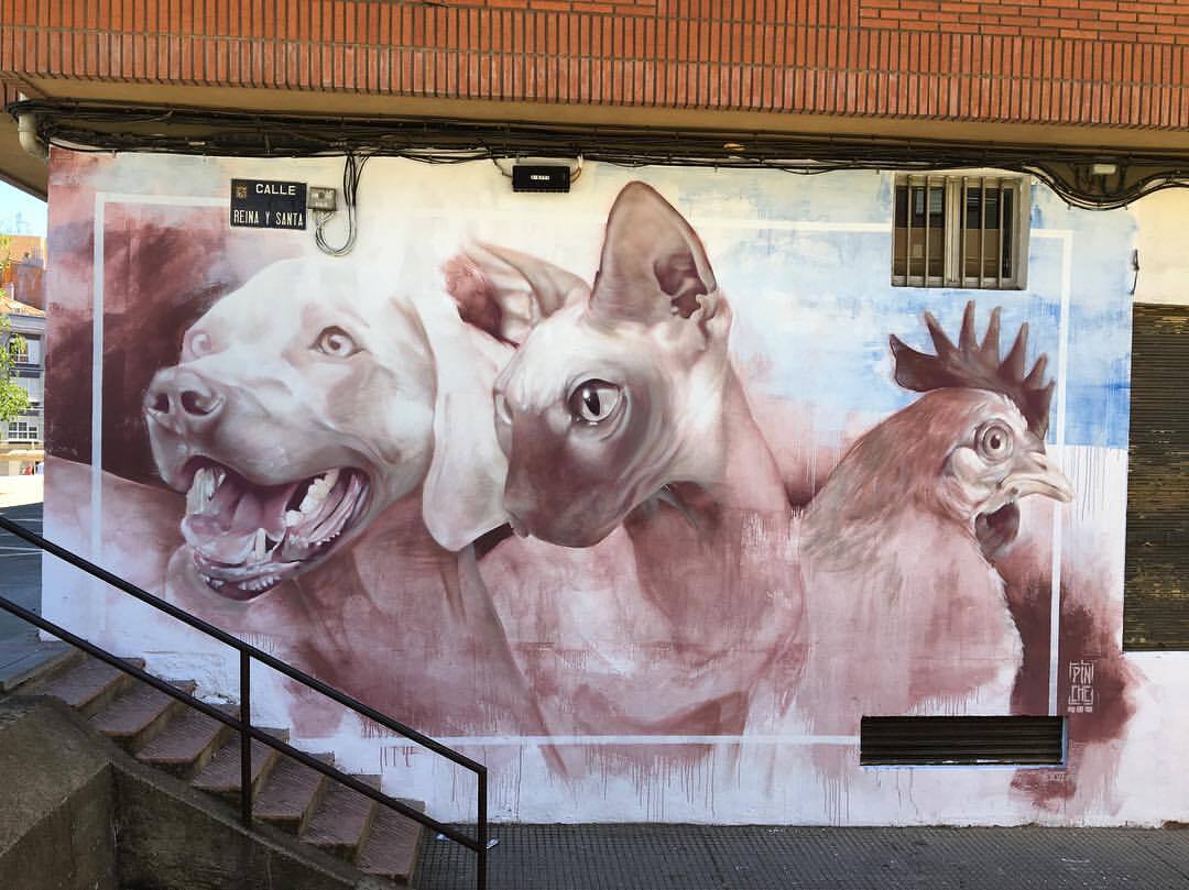 #Streetart by #Pinche @pincheycolorea in #León, Spain
Photo by @pincheycolorea
More info at: ift.tt/ezDaREV
Via @cultureforfreedom @barbarapicci 

#streetartLeón #streetartSpain #Spainstreetart #pincheycolorea #art #graffiti #murals #murales #ur… instagr.am/p/C68j_YeoOgh/