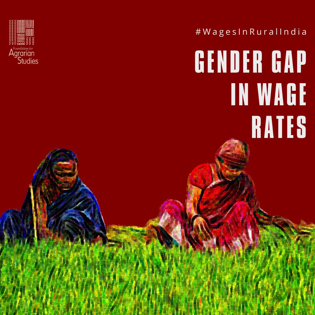 Today, under #WagesInRuralIndia series, we discuss the Gender Gap in Wage Rates. There is a huge gender disparity in wage rates in India. Official data sources show that on average Indian women don't even get 80% of the rates paid to men. fas.org.in/publications/a… 1/4