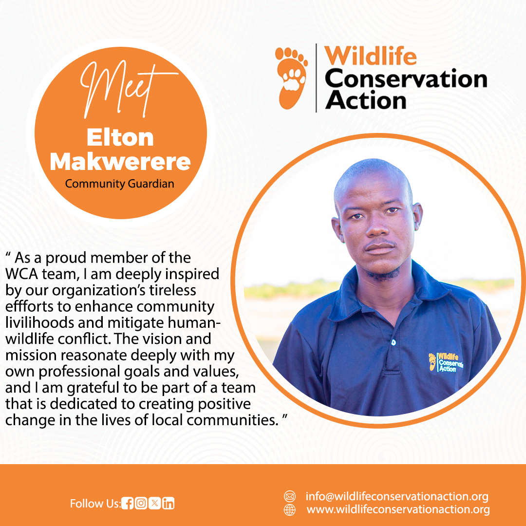 Elton Makwerere has been a dedicated member of WCA for six months, driven by his passion for addressing the human-wildlife conflict that affects his ward daily. #meettheteam #ConservationEfforts #action4wildlife