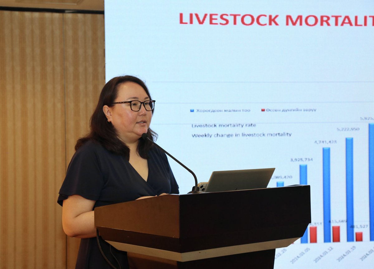 Olga Dzhumaeva (@odzhumaeva) on Twitter photo Today, the <a href="/ifrc/">IFRC</a> co-hosted a crucial briefing with the <a href="/RedCrossmn/">Mongolian Red Cross </a> on the devastating impacts of the #dzud in Mongolia. The livestock mortality toll surpassing 7 million is inflicting irreparable economic shock, mental stress, and trauma on tens of thousands of herder households. Today, the <a href="/ifrc/">IFRC</a> co-hosted a crucial briefing with the <a href="/RedCrossmn/">Mongolian Red Cross </a> on the devastating impacts of the #dzud in Mongolia. The livestock mortality toll surpassing 7 million is inflicting irreparable economic shock, mental stress, and trauma on tens of thousands of herder households.