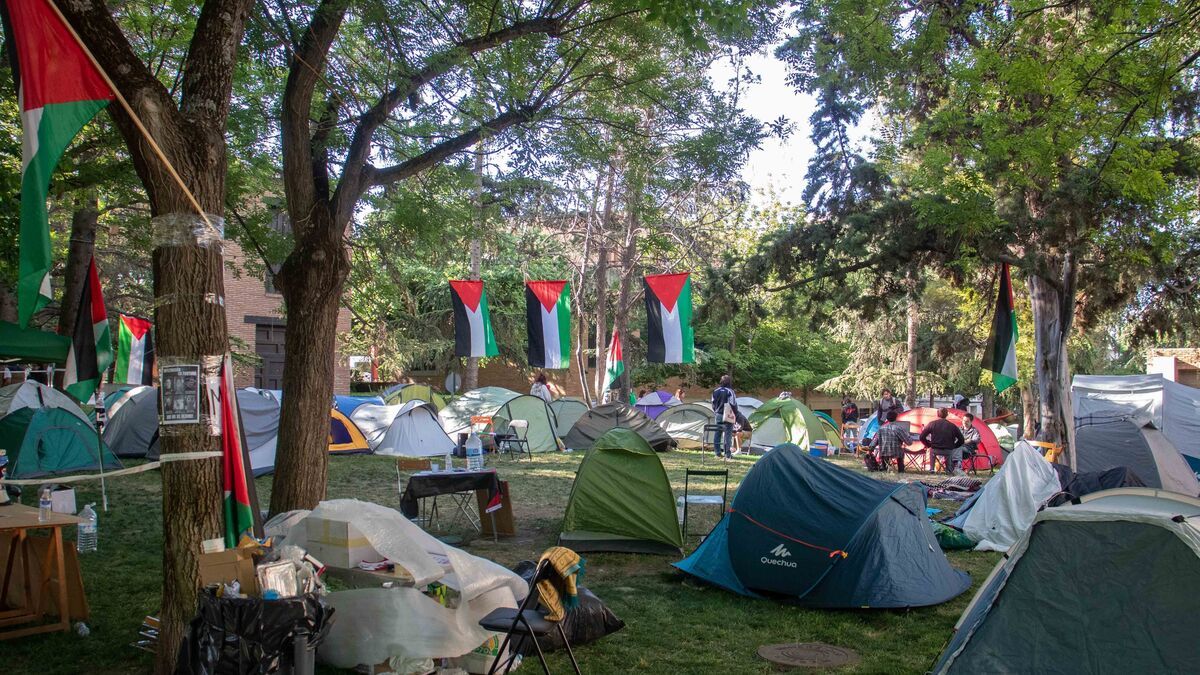 «No siento que esté en Granada, en 2024. Siento que el tiempo se ha detenido, que estoy en todas partes y en ninguna».

Una compañera de la acampada por Palestina de la Universidad de Granada, que comenzó el miércoles 8 de mayo.