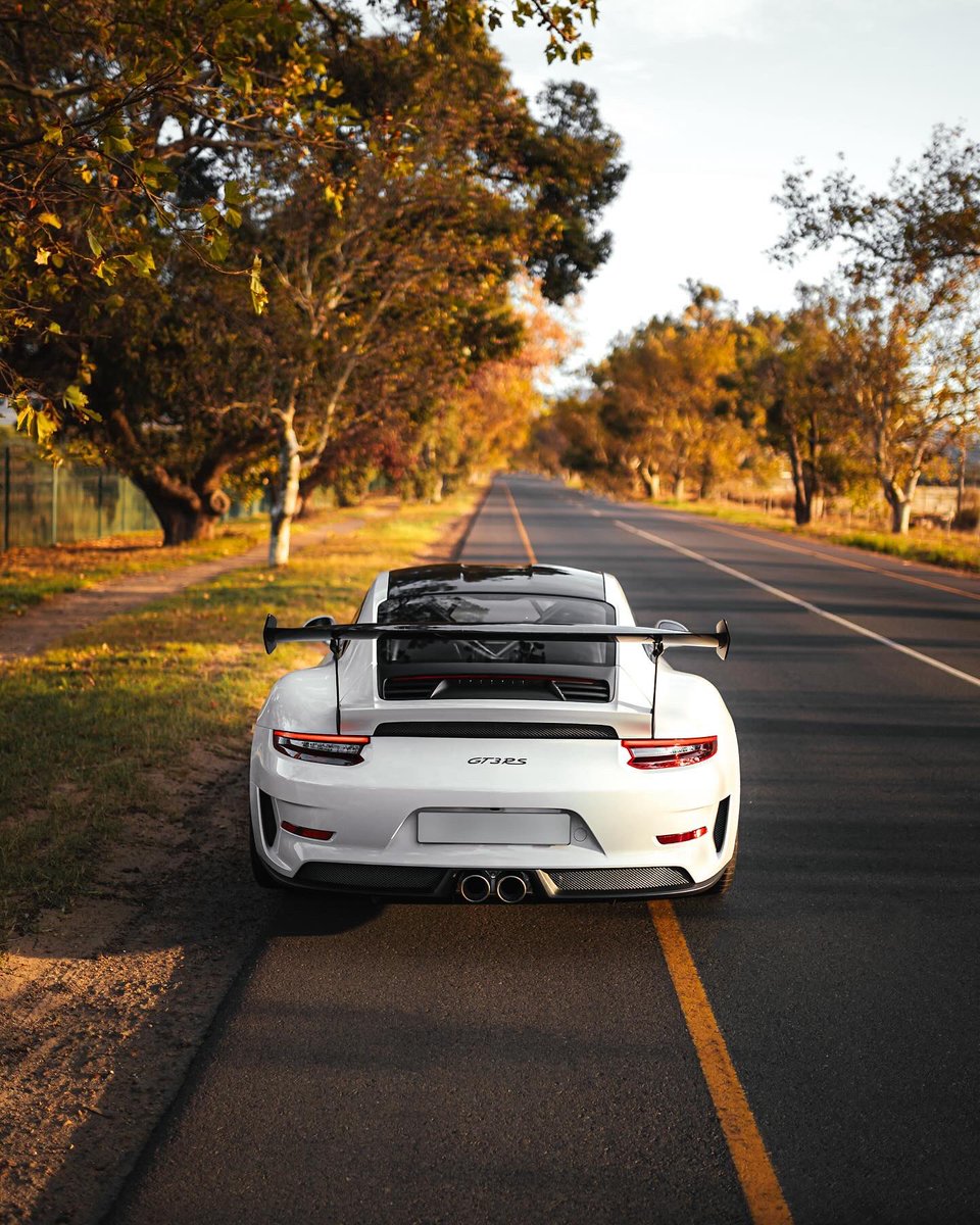 POV: You’re a GT3RS owner, with an Akrapovic exhaust red-lining into the golden sunset🕷️ #allyouneed #lizzardgreen #weissach #akra #gt3rs