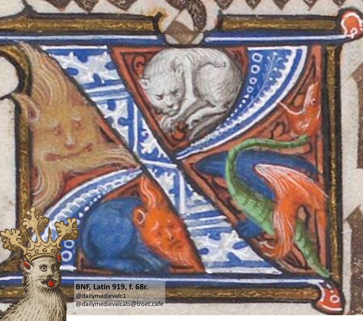 Cat in the corner. Ms: BNF, Latin 919, f. 68r (15th c.). #medievalcat #medievaltwitter