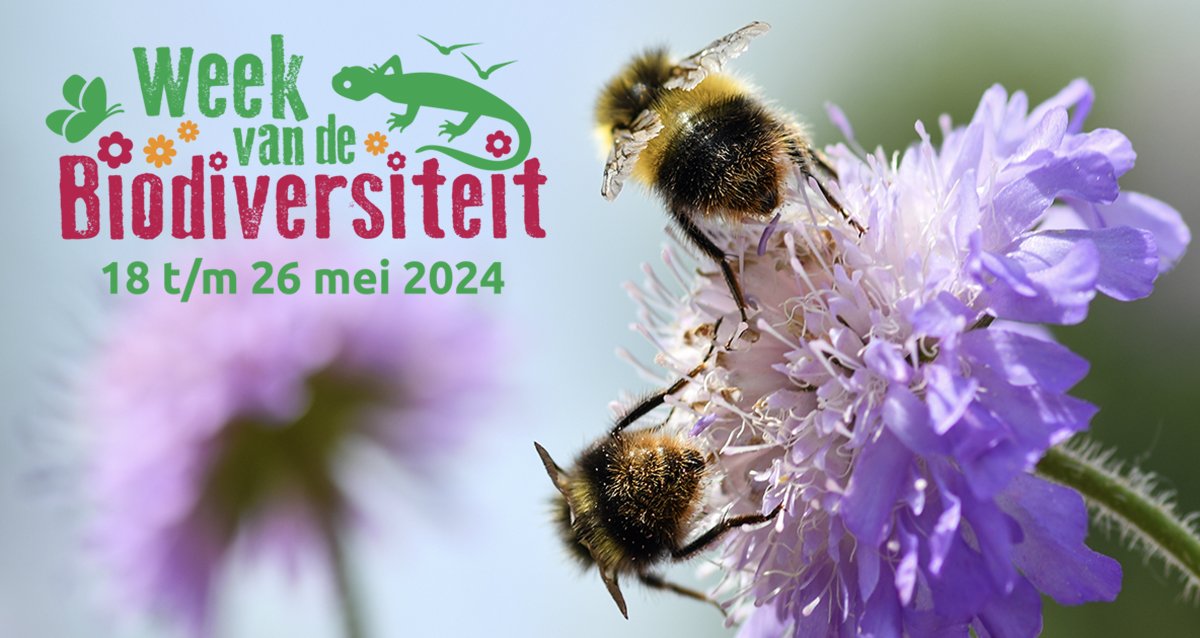 WINACTIE! Om tijdens de #WeekVanDeBiodiversiteit aandacht te vragen voor alles wat leeft, stellen we een mooi natuurboek beschikbaar! Kans maken? 1) Retweet dit bericht 2) Plaats je mooiste, onbewerkte natuurfoto onder de hashtag #WeekVanDeBiodiversiteit en #KNNV Succes!