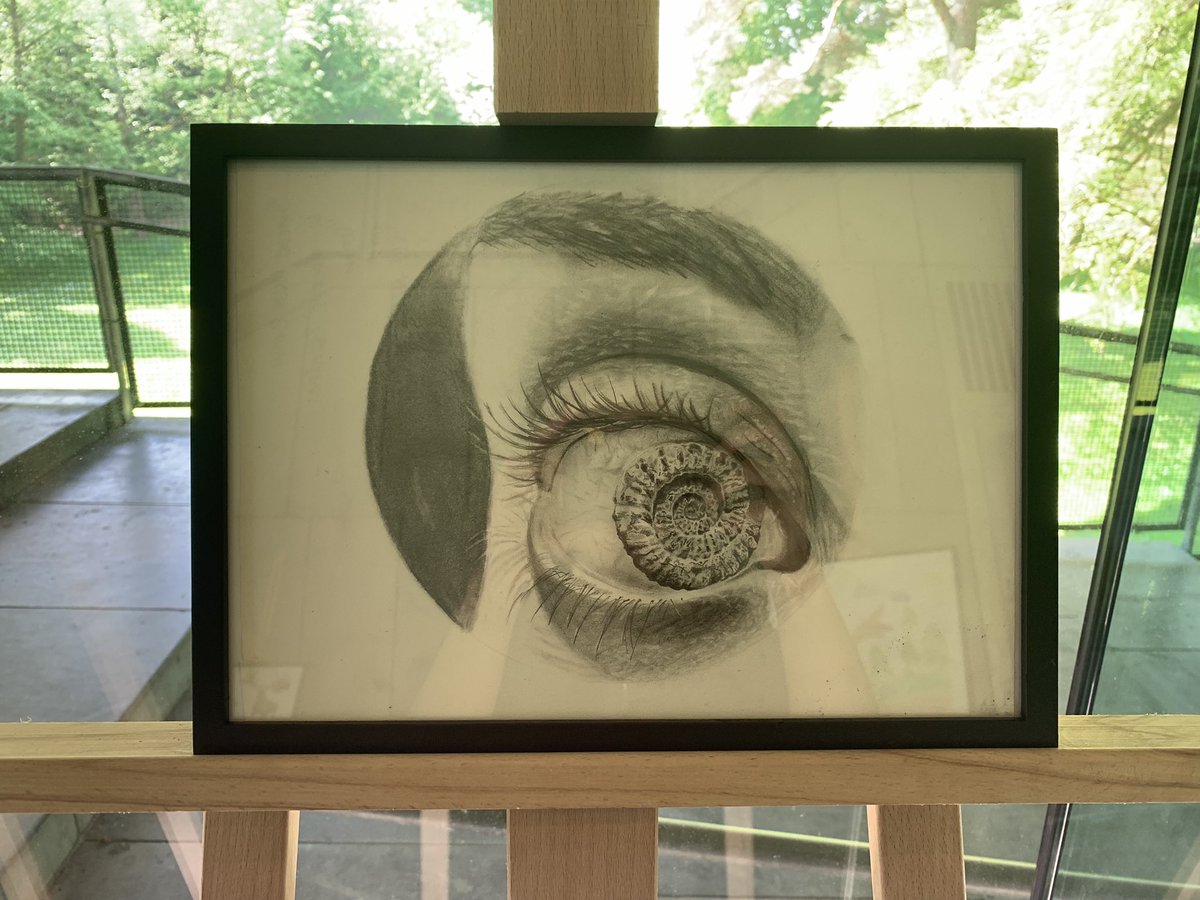 We are currently exhibiting the winning artworks of the National Fossil Art Contest 2024 Pop in to see these fantastic works on display Find more at ucc.ie/en/fossil-heri…