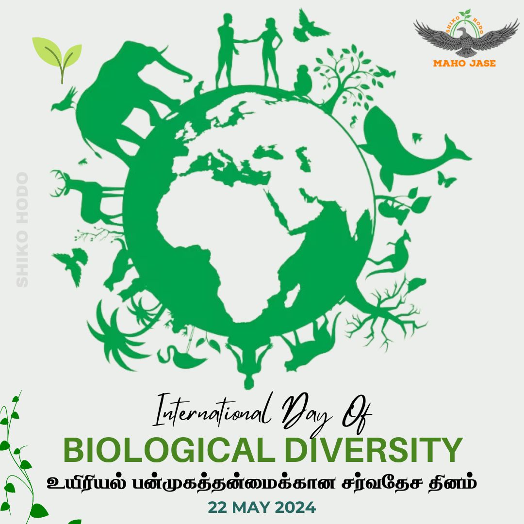 Happy International Day of Biodiversity! 🌿Today, we celebrate the incredible variety of life on Earth and the vital role biodiversity plays in sustaining our planet.
#BiodiversityDay #ProtectOurPlanet #NatureIsLife
#NatureConservation #ProtectBiodiversity  #EcoDiversity