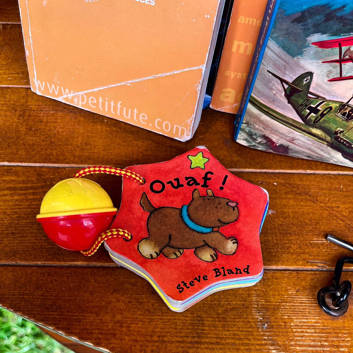 Des livres pour tous les âges, du plus petit au plus grand, c’est ce que vous pourrez souvent trouver dans mes étagères ! 
Encore un immense merci à tous mes contributeurs ! 
#Arras #boîteàlivres #petitsetgrands #livres