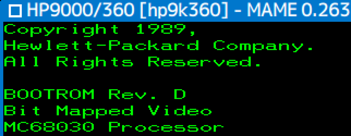 Izumi Tsutsui tweet media