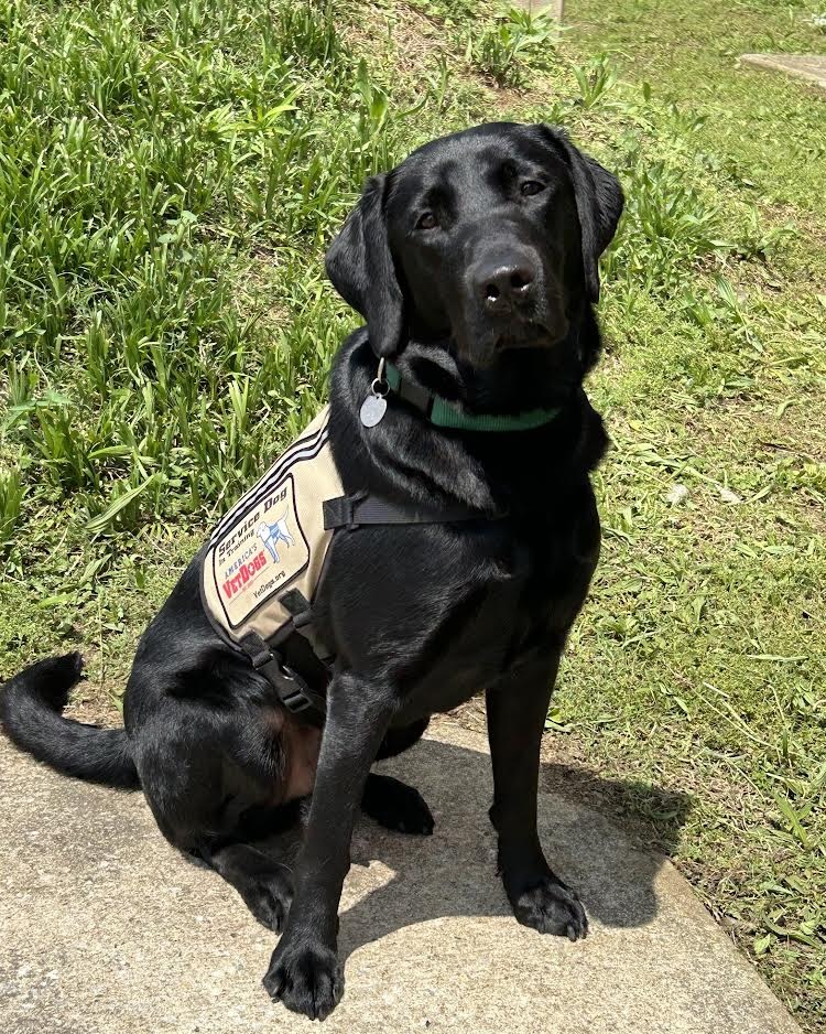 Congratulations to future service dogs Don and JD who graduated from the Patuxent Institution's America's VetDog Program! Both puppies are headed to New York for the second phase of their training and eventual assignment. 🐾🐕‍🦺🦴