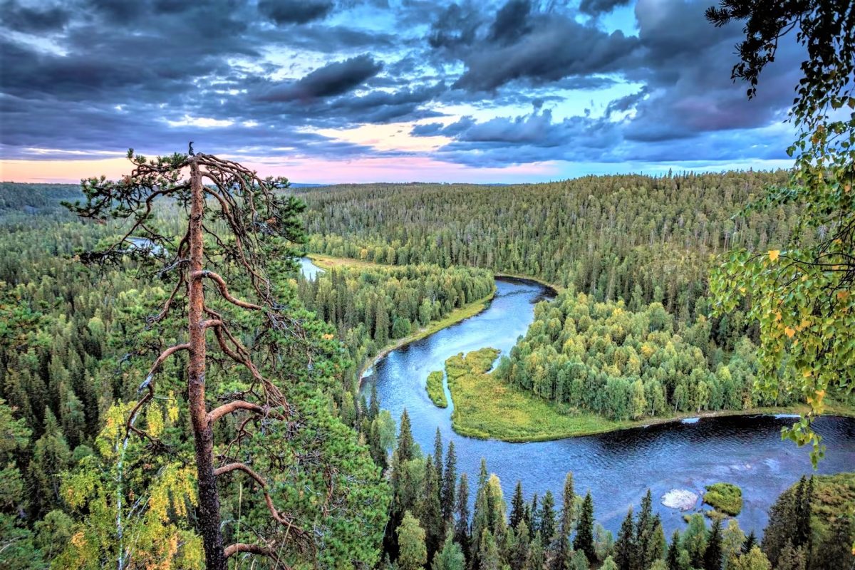 . @CNNTravel recommends the Karhunkierros Trail, which begins in Hautajärvi village in Lapland’s Salla and ends at the Rukatunturi Fell, as one of 'Europe’s best long-distance hiking trails': amp.cnn.com/cnn/travel/eur… Learn more about Finland's hiking areas: discoveringfinland.com/nature-attract…