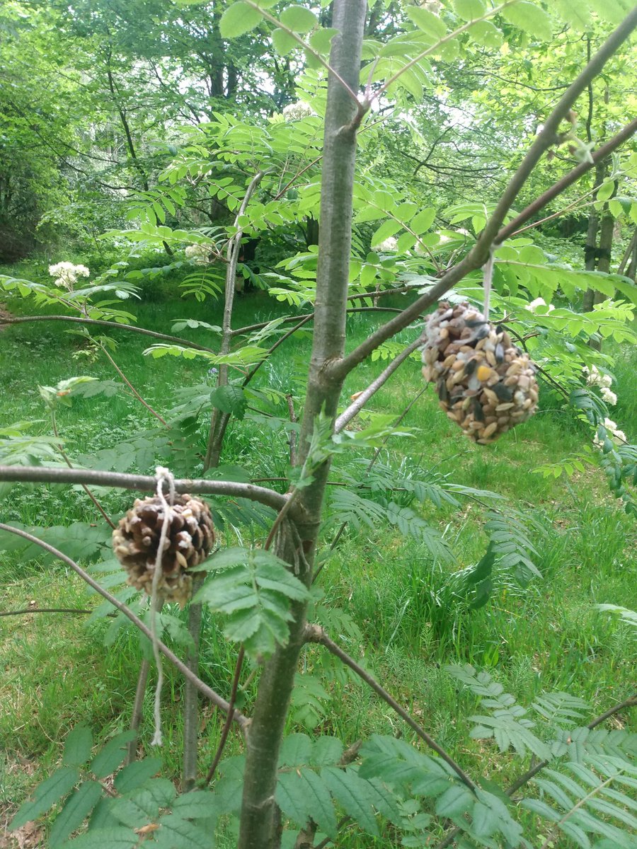 The Green Team (@greenteamedin) on Twitter photo Pupils <a href="/OxgangsPS/">Oxgangs PS Edinburgh</a> picking litter in local park, learning about trees , making pinecone breeders , listening to birdsong <a href="/JohnMuirTrust/">John Muir Trust</a> #johnmuiraward #conservation #nature #natureconnection #outdoors #outdoorlearning <a href="/EdOutdoorLearn/">Outdoor Learning Edinburgh</a> #getoutside #explore #getwalking Pupils <a href="/OxgangsPS/">Oxgangs PS Edinburgh</a> picking litter in local park, learning about trees , making pinecone breeders , listening to birdsong <a href="/JohnMuirTrust/">John Muir Trust</a> #johnmuiraward #conservation #nature #natureconnection #outdoors #outdoorlearning <a href="/EdOutdoorLearn/">Outdoor Learning Edinburgh</a> #getoutside #explore #getwalking