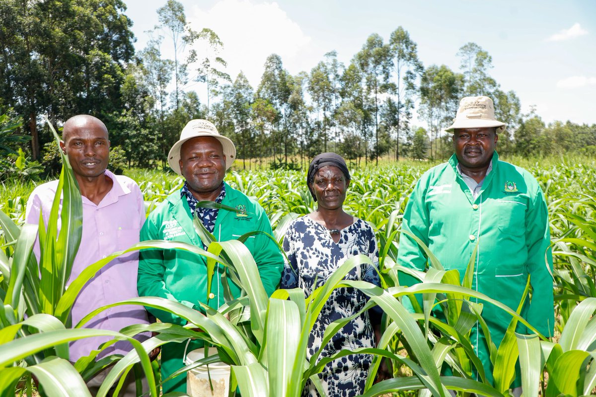 I am dedicated to revitalizing Kakamega County's economy through agriculture. In ensuring success on this, I urge farmers to utilize the County-subsidized fertilizer and seeds for a bumper harvest. 📍 𝐌𝐮𝐛𝐞𝐫𝐢, 𝐋𝐮𝐬𝐡𝐞𝐲𝐚-𝐋𝐮𝐛𝐢𝐧𝐮 𝐖𝐚𝐫𝐝, 𝐌𝐮𝐦𝐢𝐚𝐬 𝐄𝐚𝐬𝐭
