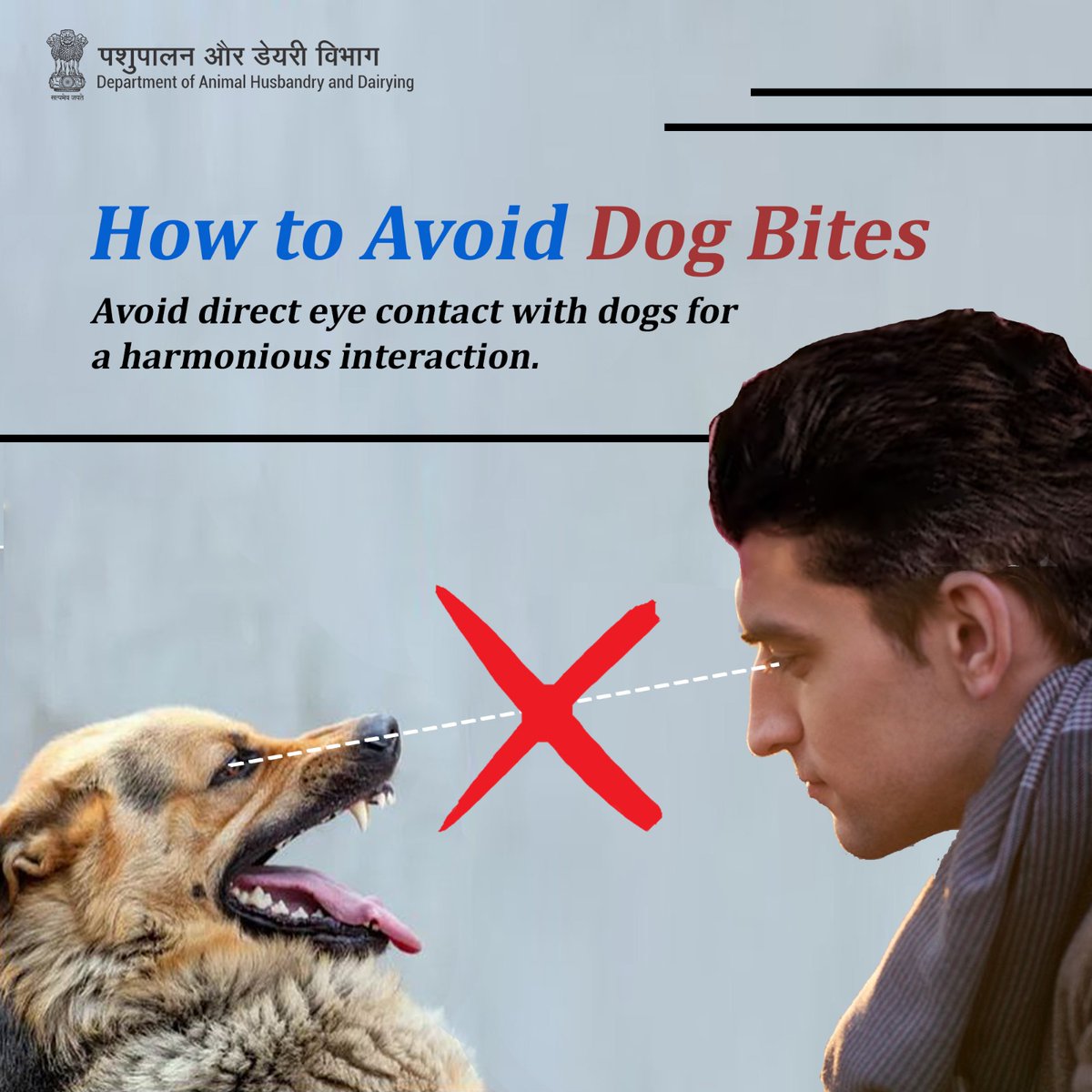 Keep the peace: Avoid direct eye contact with dogs to prevent bites. #DogSafety #PreventRabies #VaccinateNow