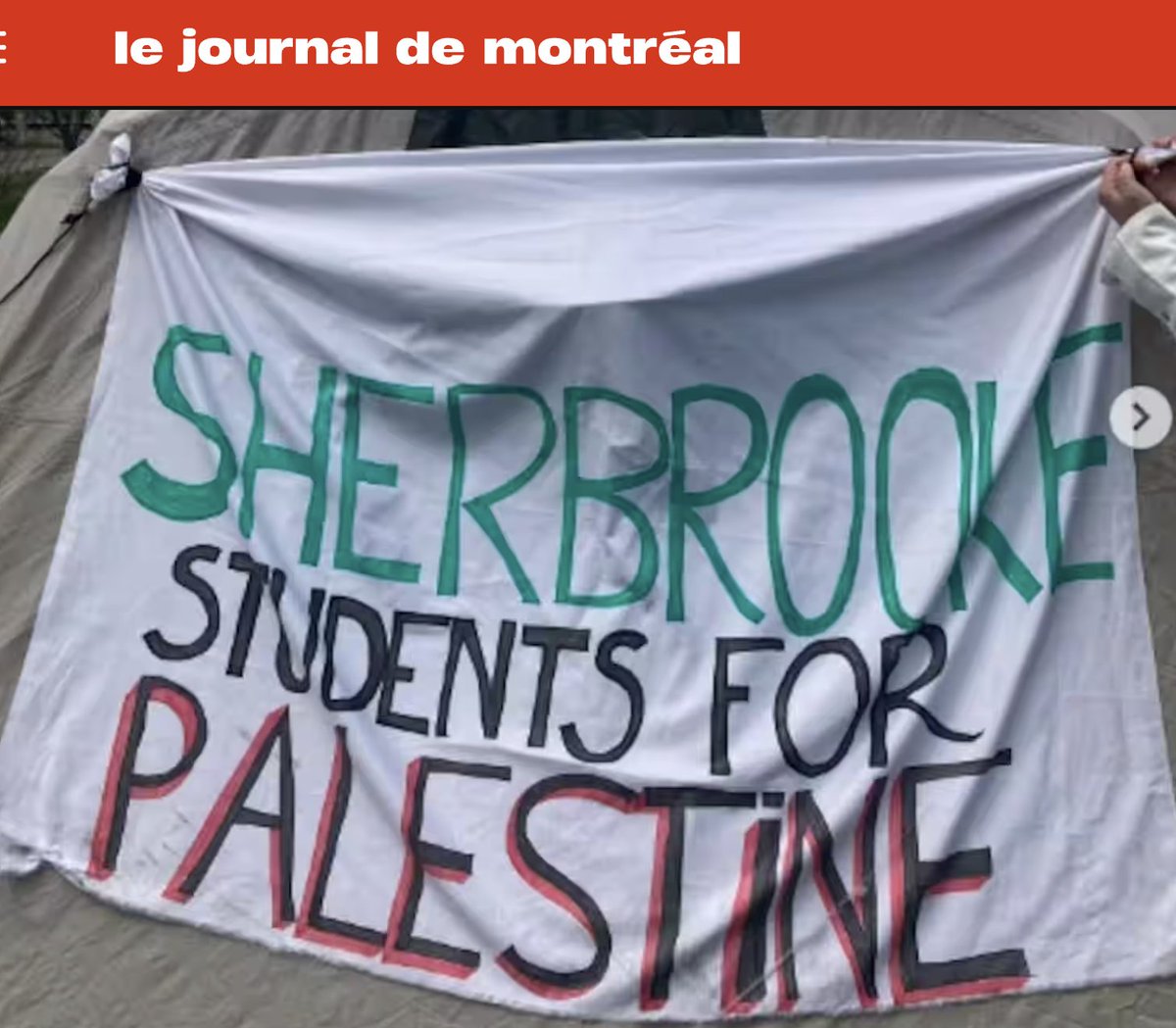 HarfangM's tweet image. J'ai mal à la ville francophone à 95 % qui m'a vu naitre et à l'université où j'ai longuement étudié en français.
J'arrête ça là pour ne pas tomber dans la vulgarité !