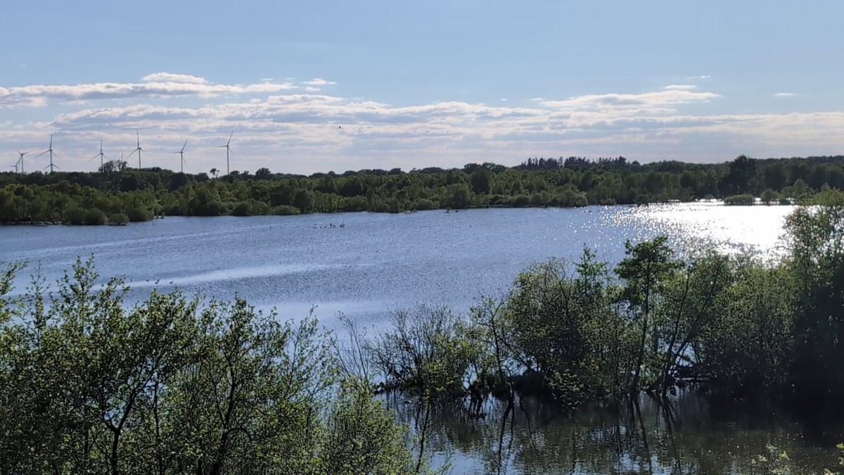 sanny42 (@sanny271977) on Twitter photo 