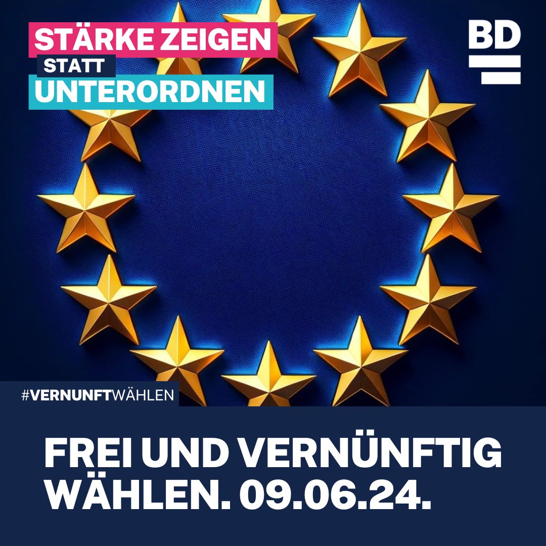 #vernunftwählen #bündnisdeutschland #europaerneuern #europawahl2024 #europastatteu #vernunftstattideologie #grenzensetzen